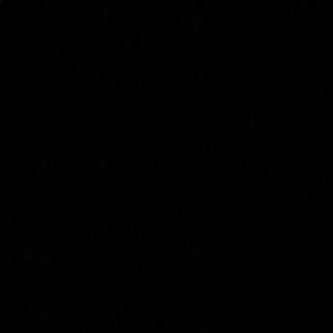 Meet your Posher, Brandi